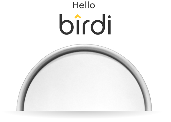 hello-birdi fire alarm